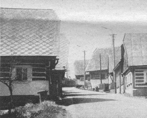 Zvdav ulika