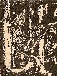 Bark smrti